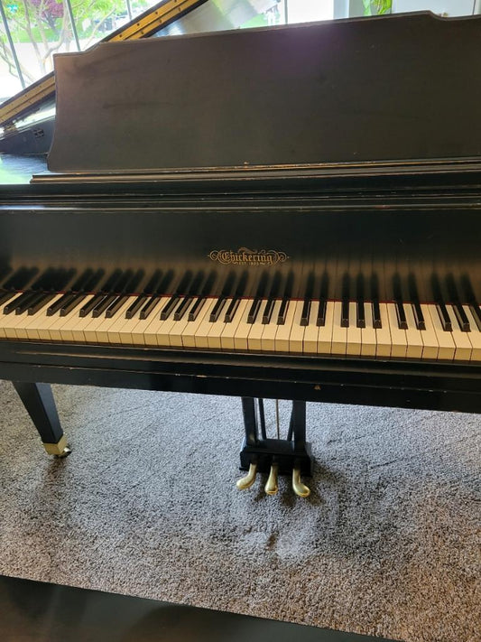 Image of the Piano For Sale