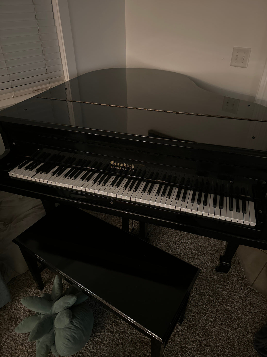 Image of the Piano For Sale