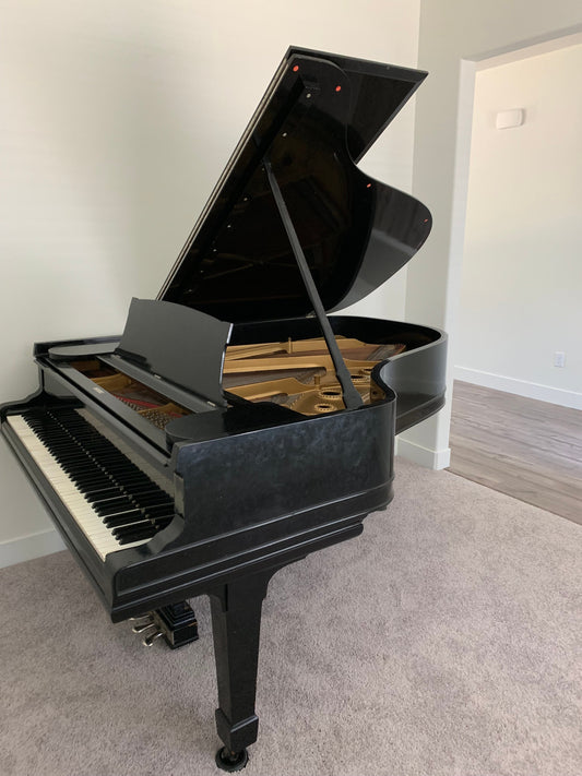 Image of the Piano For Sale