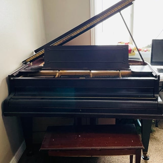 Image of the Piano For Sale