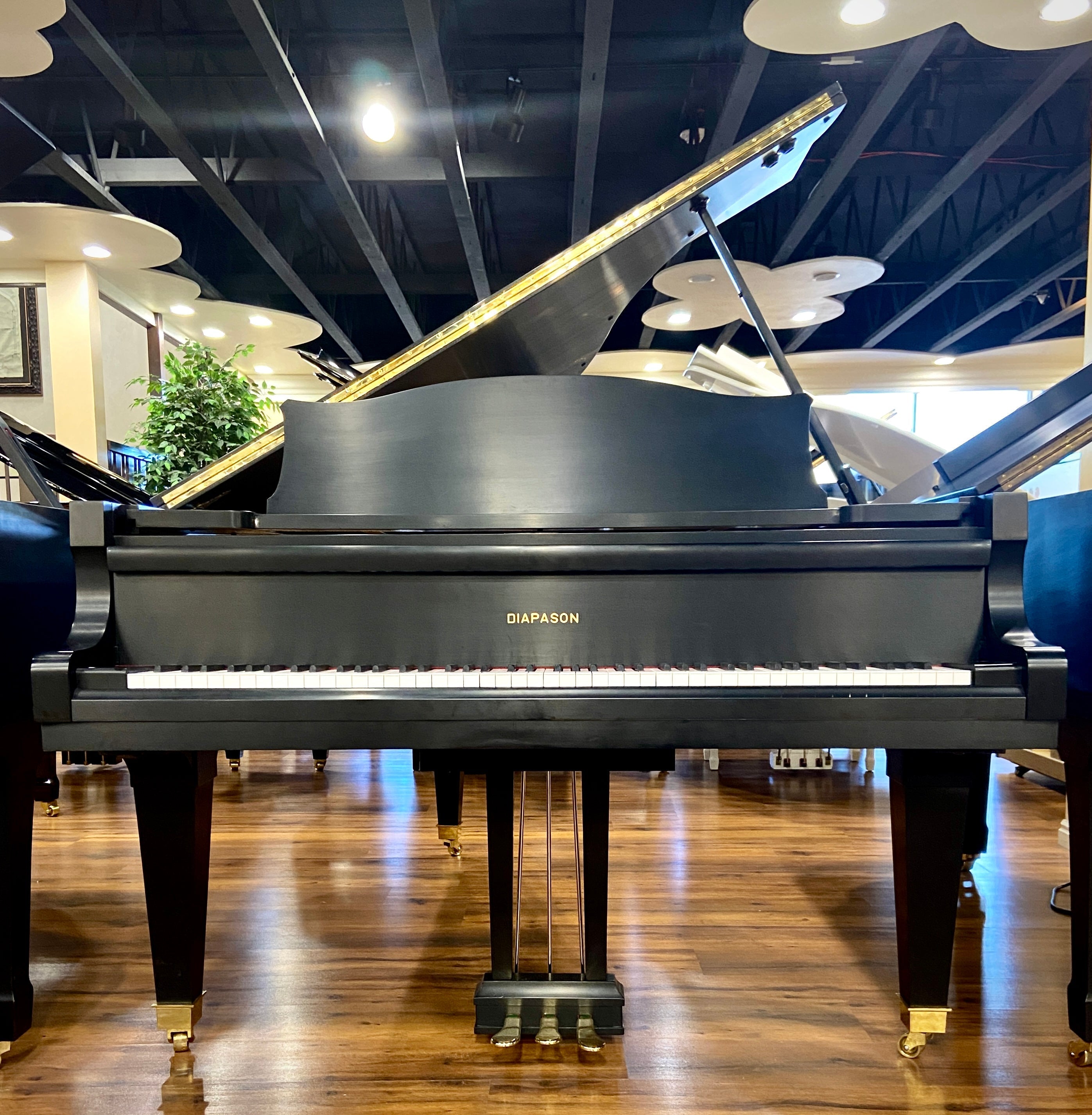 Diapason Pianos for Sale - Brigham Larson Pianos