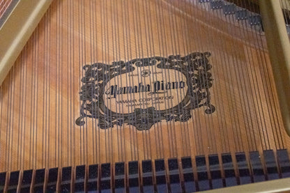 Image 29 of 1994 Yamaha C3 Grand Player Piano 6'1"