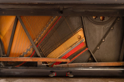 Image 6 of 1888 Steinway upright