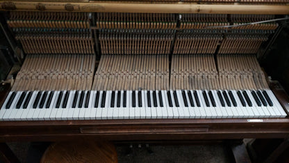 The Ludwig Family Piano!