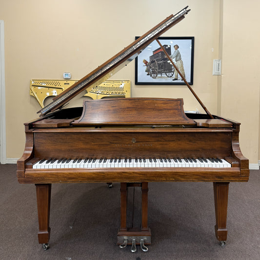 CURRENT SHOP WORK - 1923 Steinway Wood Finish Commissioned Grand Piano