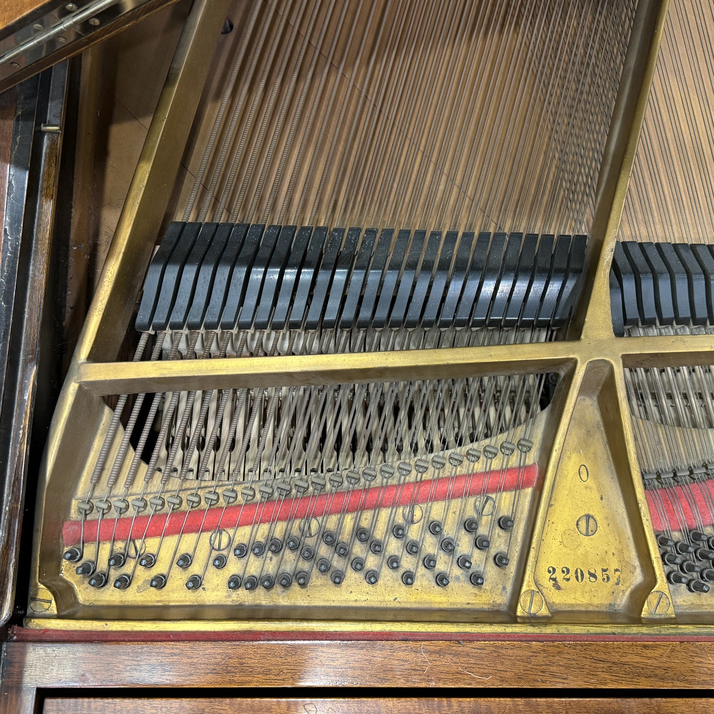 CURRENT SHOP WORK - 1923 Steinway Wood Finish Commissioned Grand Piano