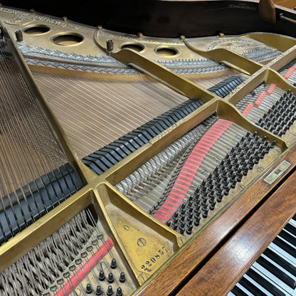 CURRENT SHOP WORK - 1923 Steinway Wood Finish Commissioned Grand Piano