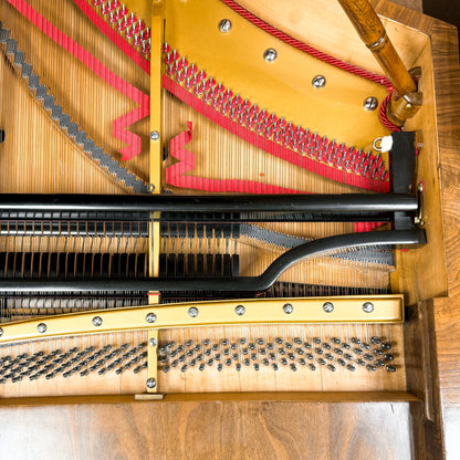 Unique 1880 Promberger & Sohn 6'10" Grand Piano - Vienese Action - Straight Strung - An Artifact of Piano History! - with Player