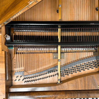 Unique 1880 Promberger & Sohn 6'10" Grand Piano - Vienese Action - Straight Strung - An Artifact of Piano History! - with Player