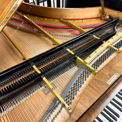 Unique 1880 Promberger & Sohn 6'10" Grand Piano - Vienese Action - Straight Strung - An Artifact of Piano History! - with Player