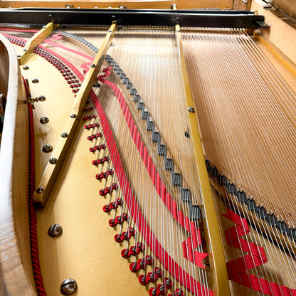 Unique 1880 Promberger & Sohn 6'10" Grand Piano - Vienese Action - Straight Strung - An Artifact of Piano History! - with Player