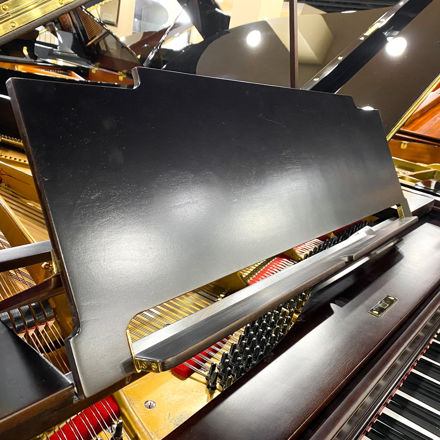 1885 Hallet Davis Black Grand Piano with QRS Digital Player System