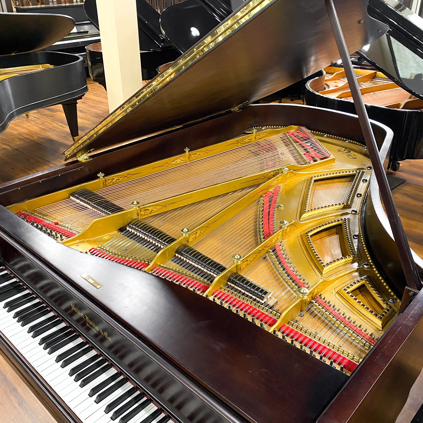 1885 Hallet Davis Black Grand Piano with QRS Digital Player System