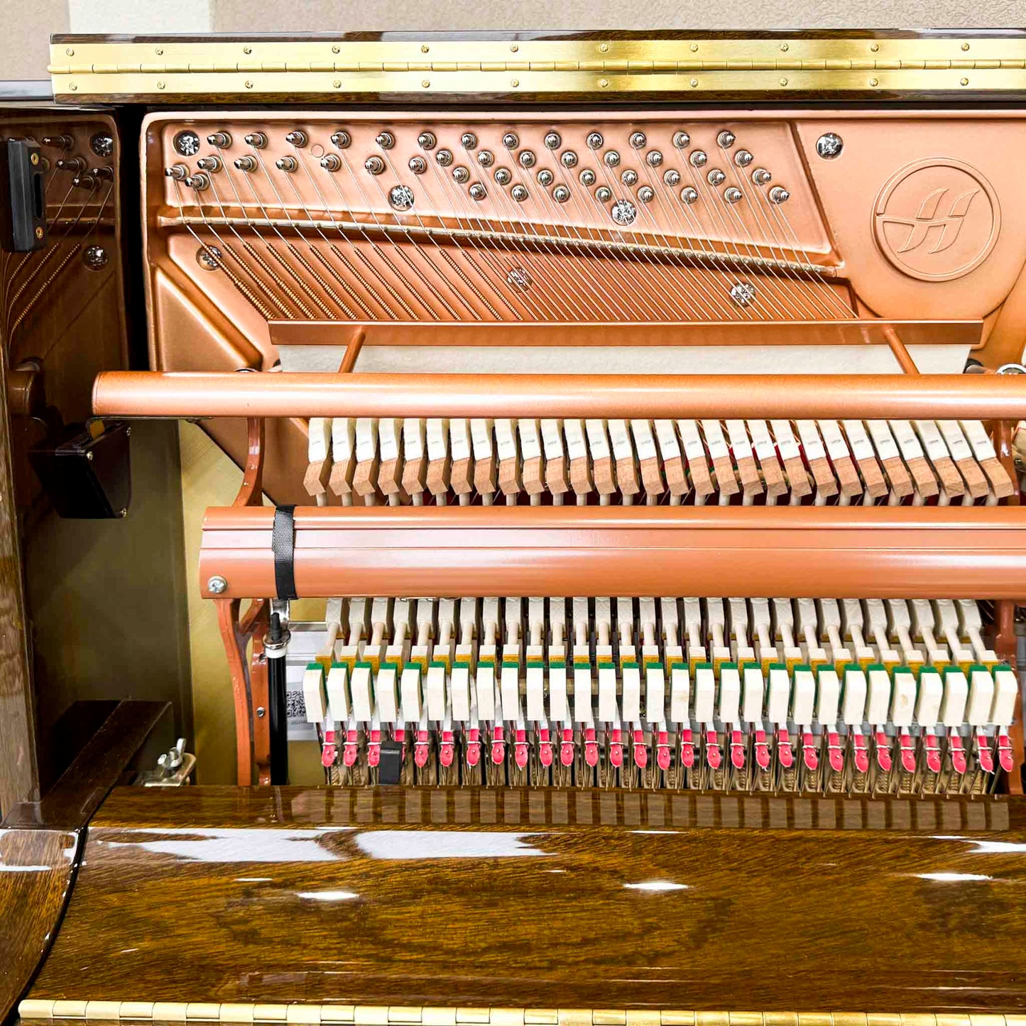 Hailun 121 48" Polished Walnut Upright Piano with French Leg