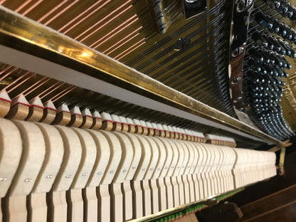 1905 Kranich & Bach 54" Walnut Wood Finish Upright Piano