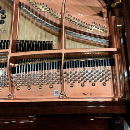 Hailun 151 5' Polished Walnut Baby Grand with Self-Playing System