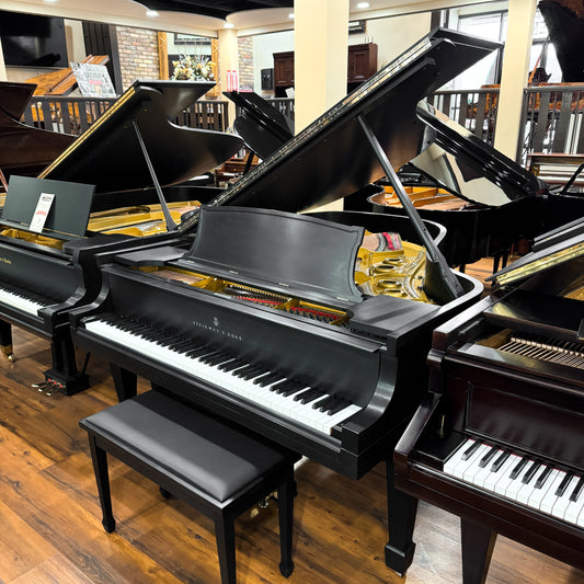 1925 Steinway L 5'11" Grand Piano / Satin Black - with QRS Self Playing System