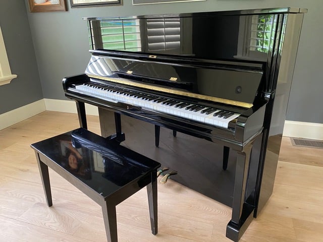 Image of the Piano For Sale