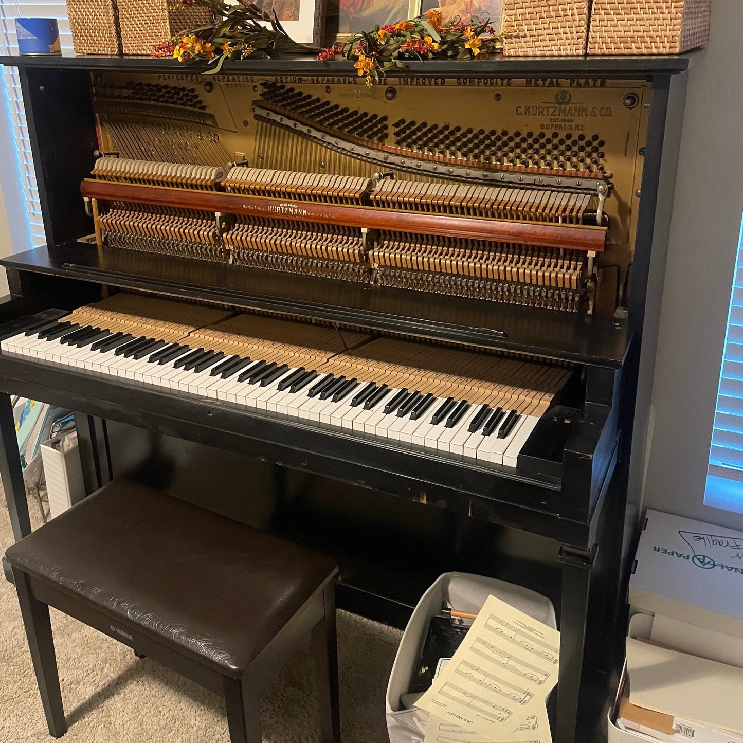 Image of the Piano For Sale