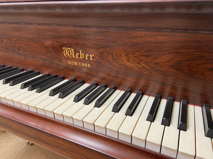 Image 9 of 1882 Weber Grand Rosewood 6'3"