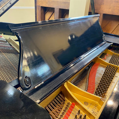 Image 6 of 1905 Steinway Grand