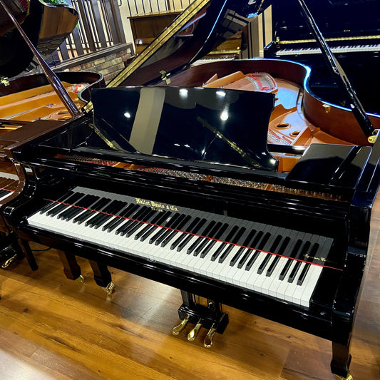 Image of the Piano For Sale