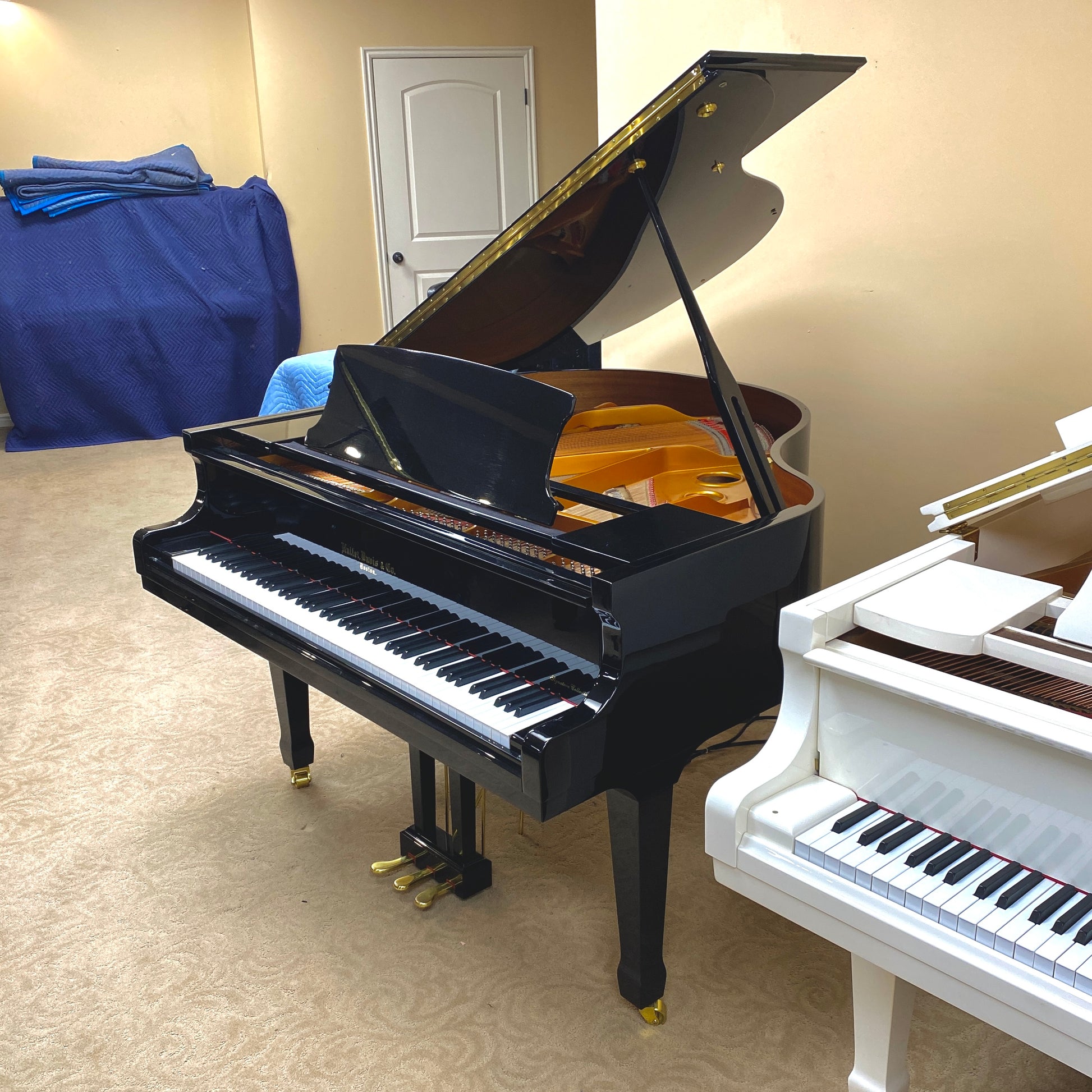 Image of the Piano For Sale