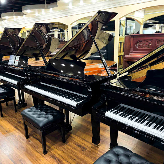 Hailun 198 6'6" Polished Black Grand Piano