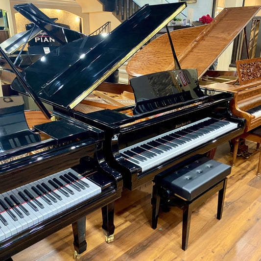 Image of the Piano For Sale