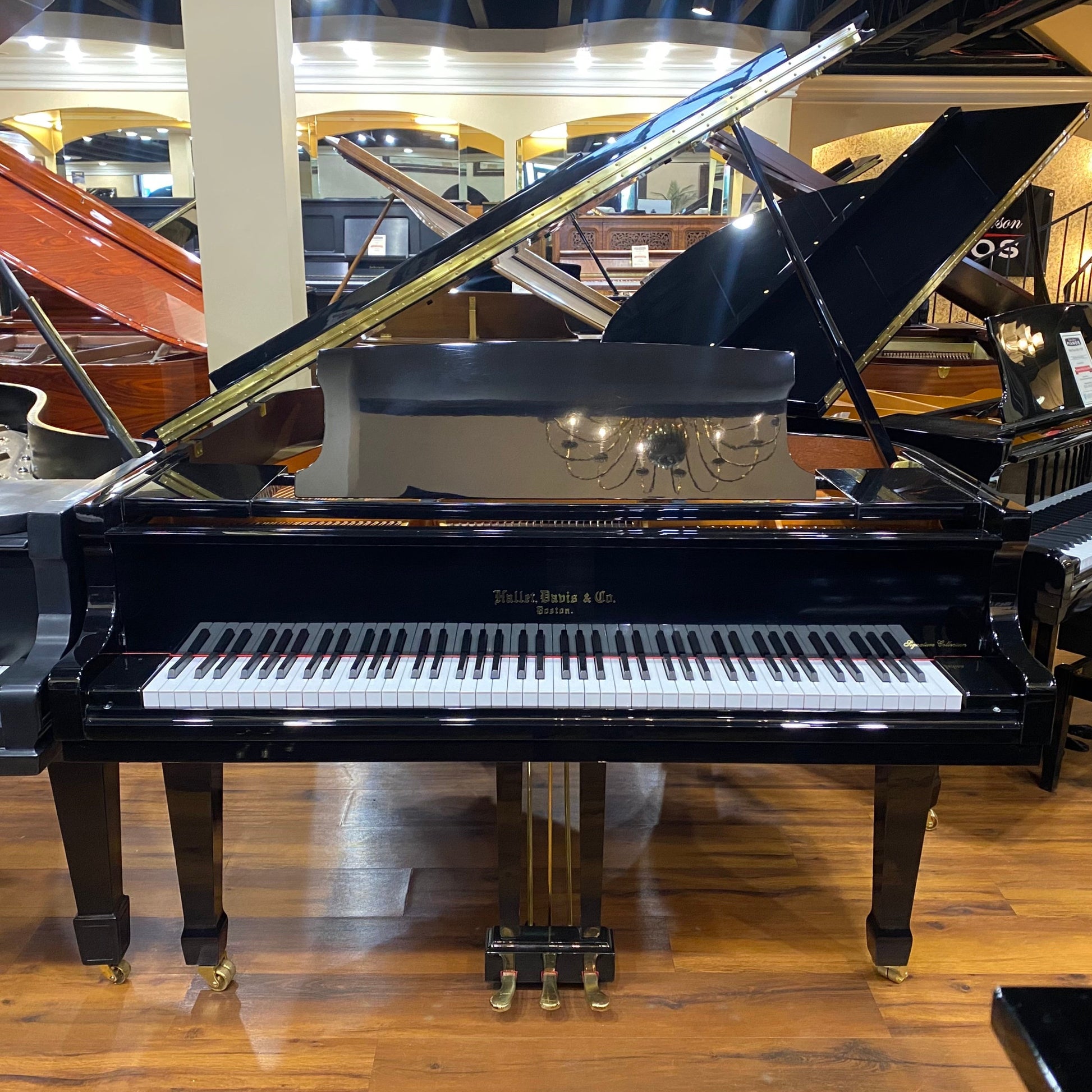 Image of the Piano For Sale