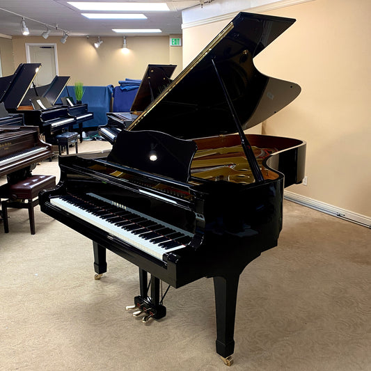 Image of the Piano For Sale