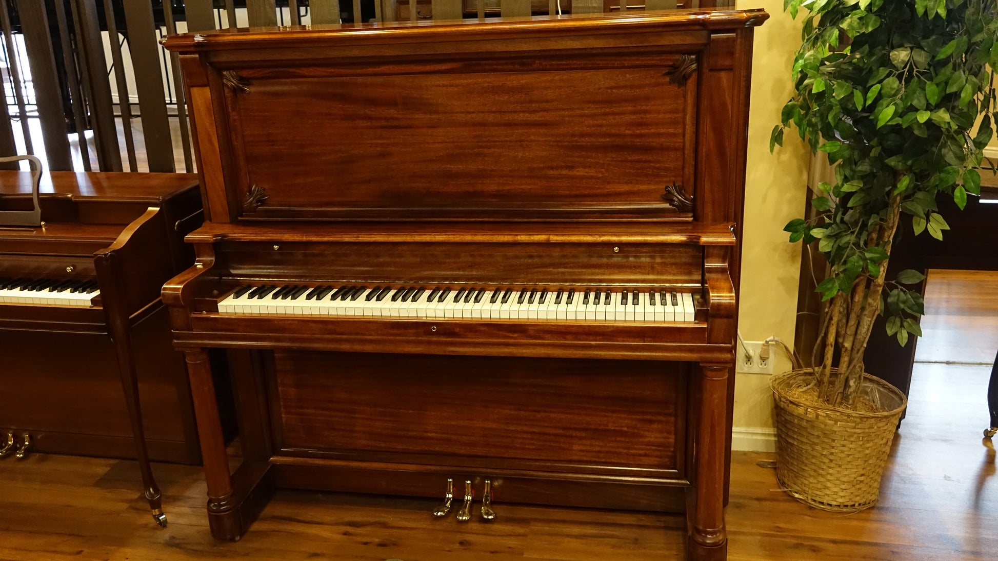 Image of the Piano For Sale