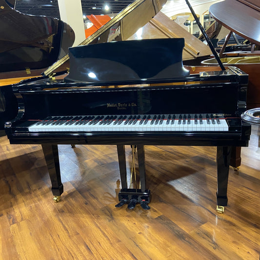 Image of the Piano For Sale