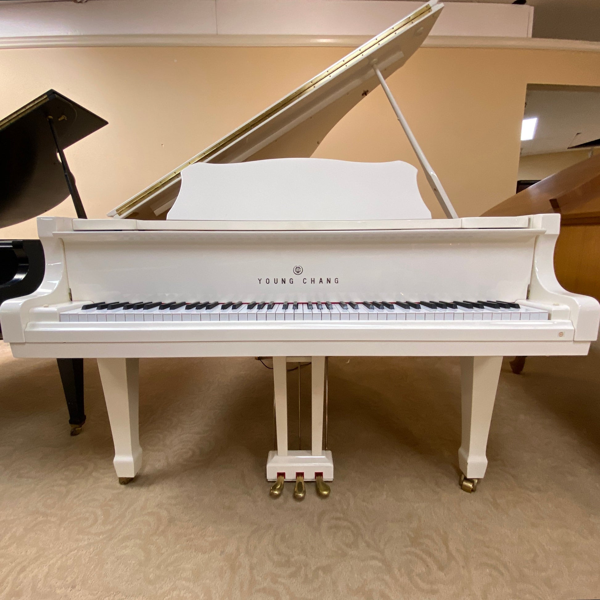 Image of the Piano For Sale