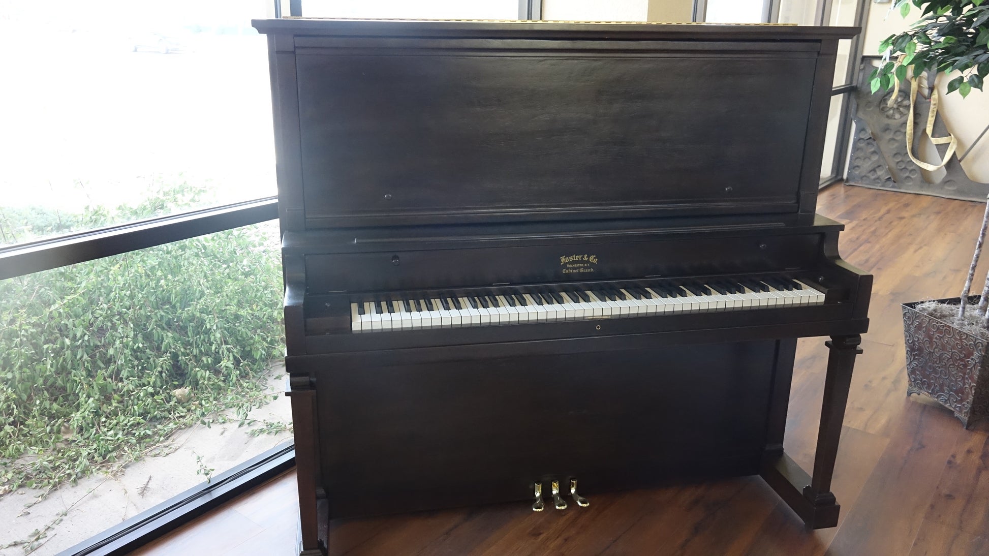 Image of the Piano For Sale