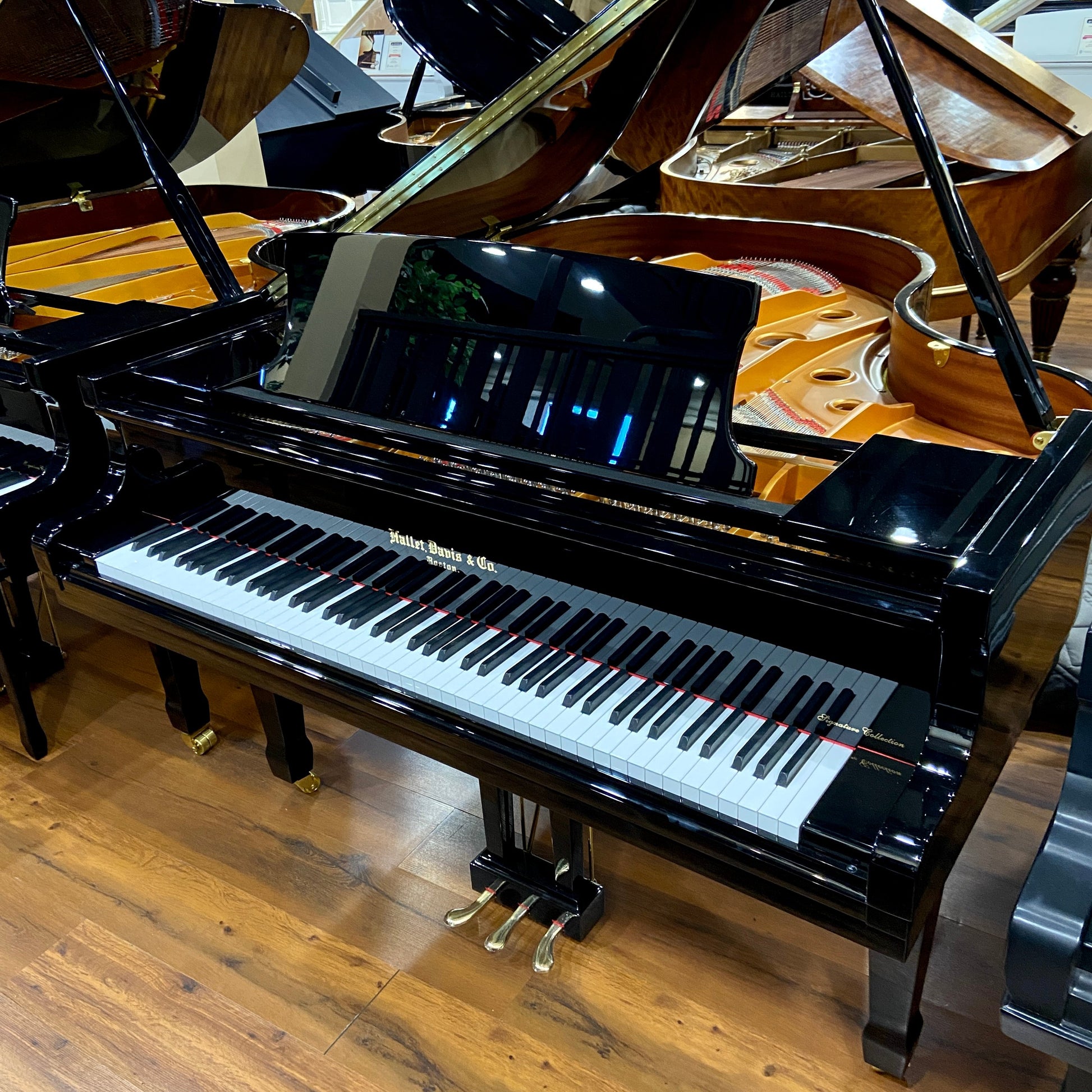 Image of the Piano For Sale